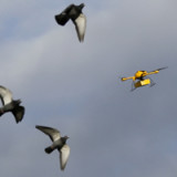 Anleger entdecken Drohnen