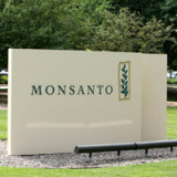 Zieht Monsanto in die Schweiz?