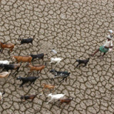 In Asien melden sich magere Jahre zurück