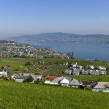 Immer mehr Selfmade-Milliardäre