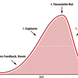 Die Anatomie der Spekulationsblase 
