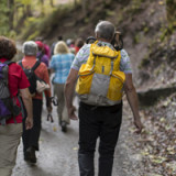 Knacknüsse für die berufliche Vorsorge