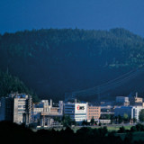 Ems-Chemie lieben den Sommer