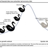 Schwarzer Schwan Europa?