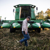 Monsanto löst Verteilkampf aus