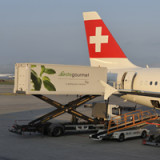 Gategroup verkleinert das Management