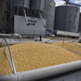 Monsanto kehrt zurück in die Zukunft