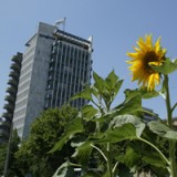 Die Syngenta-Aktionäre wollen mehr als bloss Zahlen