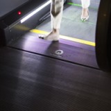 Schindler abgeblitzt