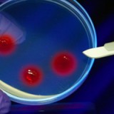 BB Biotech kann Gewinn beinahe verdreifachen