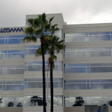 Immer Ärger mit intelligenten Chips