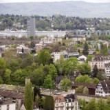SFPI steigert Betriebsertrag