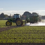 Syngenta ist nicht besorgt