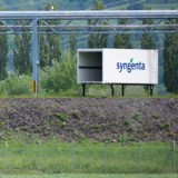 Die Dinge um Syngenta bleiben in Bewegung