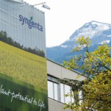Syngenta läuft es schlechter, als die Zahlen suggerieren
