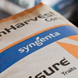 Pioneer würde gut zu Syngenta passen