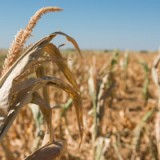 Wie Versicherer bessere Unternehmen sein wollen