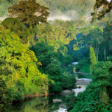 Im grandiosen Dschungel von Borneo