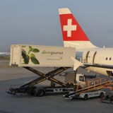 Gategroup kauft in Schweden geschickt zu