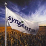 Für Syngenta Chance wie Risiko