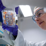 Für günstige Einstiegsgelegenheiten zuwarten