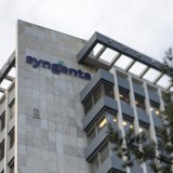 Syngenta-Aktien steigen nach Äusserungen von VRP Demaré