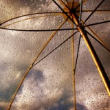 Mit diesen Aktien durch die Turbulenzen