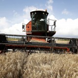 Agco sieht schwierigen Markt für 2016