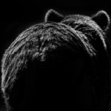 «Wir stecken bereits tief im Bärenmarkt»