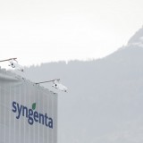 So schätzt der Markt das Angebot für Syngenta ein