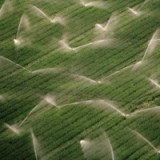 «Anlagen in Agrarland sind riskant»