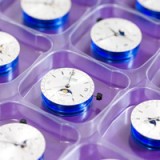 Richemont-Steuermann mit Erfahrung