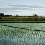 Nachhaltig investieren bringt mehr, als man meint