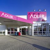 Hot Corner: Kräftiger Greifvogel