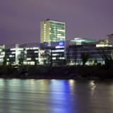 Die führenden Akteure im Krebsimmungeschäft