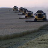 Die Alternativen zu den Syngenta-Aktien