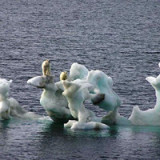 Der Klimawandel wird zum Finanzrisiko