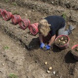 Hot Corner: Wachstum dank Spezialdünger