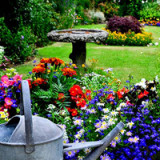 Der bunte, vielfältige Anleihengarten