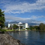 Geschickte CEO-Wahl von Nestlé