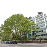 Lloyds Banking mit solider Dividende