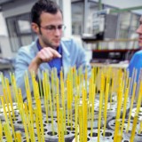 Hot Corner: Mars-tauglich