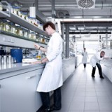 Hot Corner: Ausgefuchst