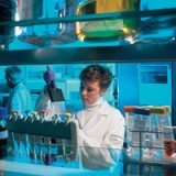 Sorgen um Preisdruck setzen Pharma zu