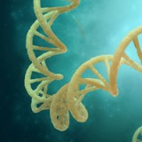 Pharma nimmt neuen Anlauf in der Gentechnologie