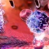 Kampf der Krebs-Titanen