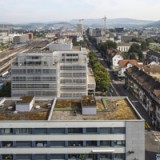 Zug Estates startet erfreulich