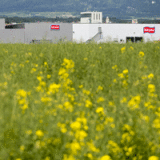 Bell investiert in Fertiggerichte-Sparte