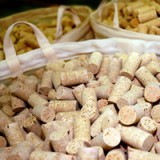 Hot Corner: Mit Korken reich geworden