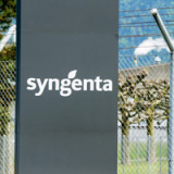 Sammelklage gegen Syngenta wird zugelassen